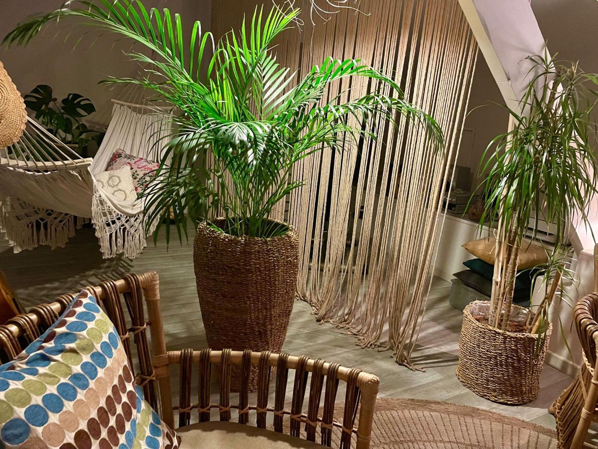 Chambre Boheme Chez Rachel Pau Ngoại thất bức ảnh